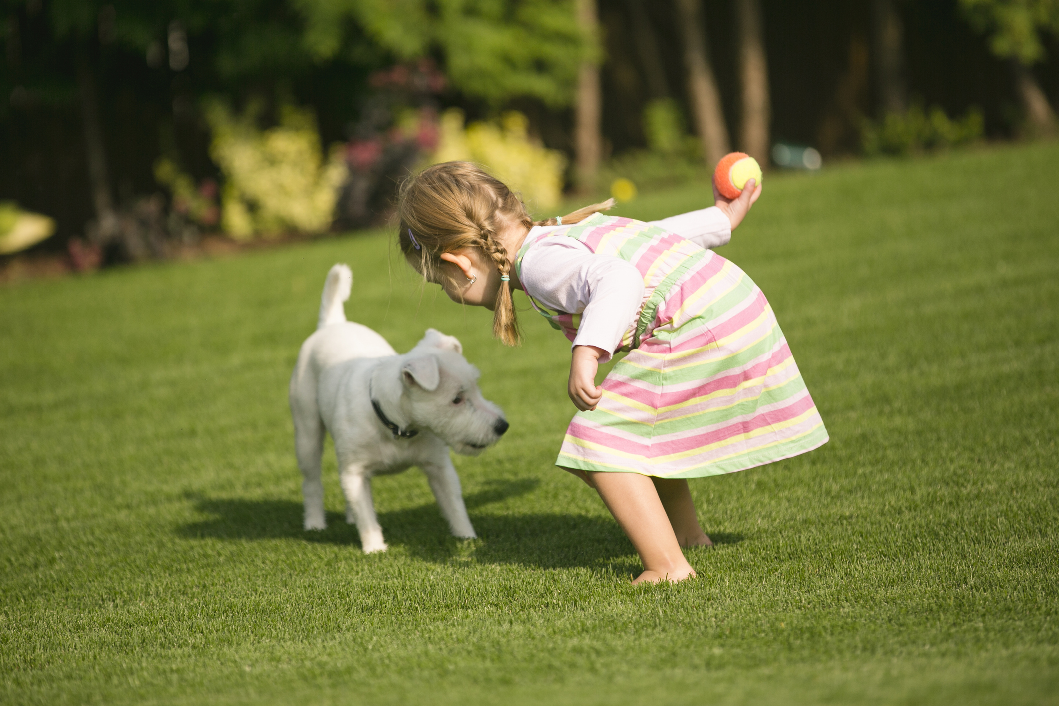 Little owners. Собака для детей. Девочка на лужайке. Ребенок играет с собакой. Собака играет.